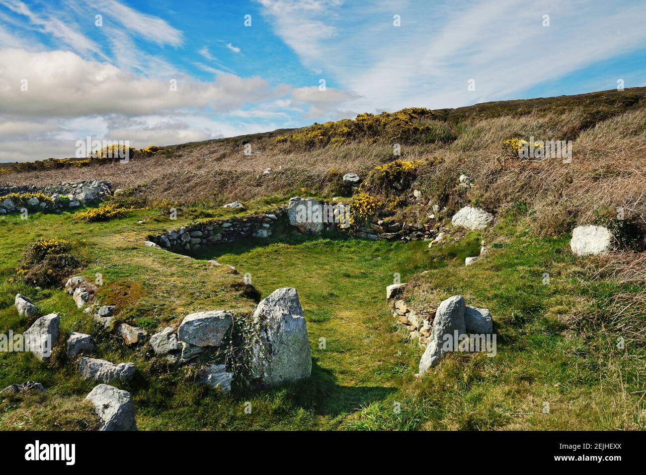 Les cercles de Holyhead Mountain Hut sont les vestiges d'un groupe de huttes préhistoriques près de la baie de Trearddur sur l'île Sainte, Anglesey, pays de Galles. Banque D'Images