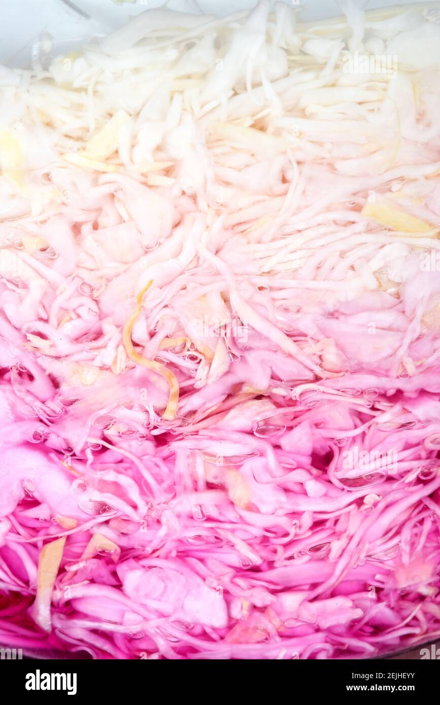 Choucroute fermentant dans un récipient en verre, Oregon. Banque D'Images