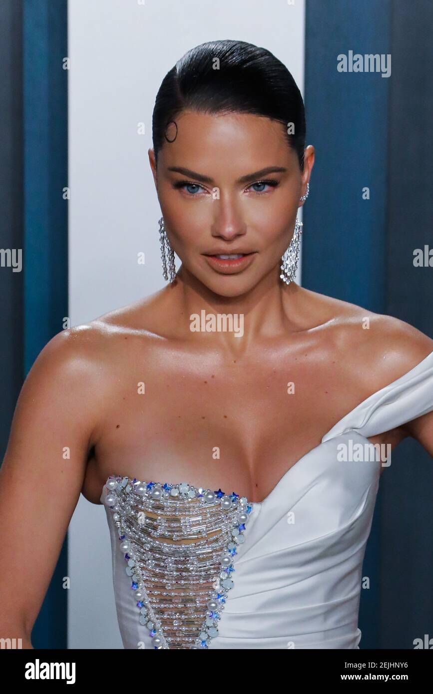 Adriana lima oscar dress hot sale