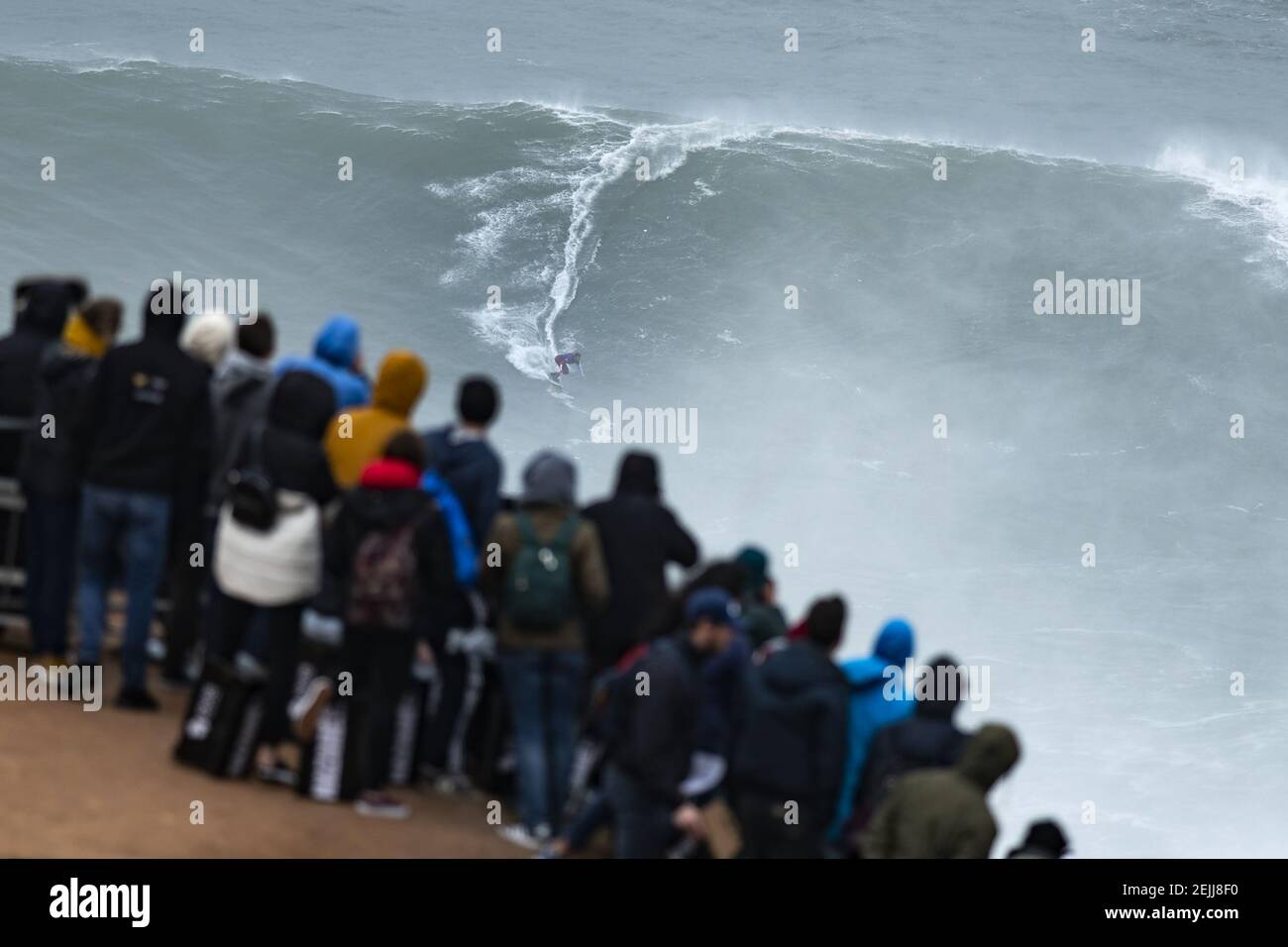 Le surfeur Francisco Porcella (ITA) est vu monter une vague pendant le Nazaré Tow Surf Challenge qui s'est tenu à la plage Praia do Norte, à Nazaré. Nazaré Tow Surfing Challenge est une compétition de la World Surf League à grandes vagues qui a eu lieu sur la plage Praia do Norte. Il a profité de l'énorme houle qui a frappé la côte portugaise le 11 février. (Photo de Hugo Amaral / SOPA Images / Sipa USA) Banque D'Images