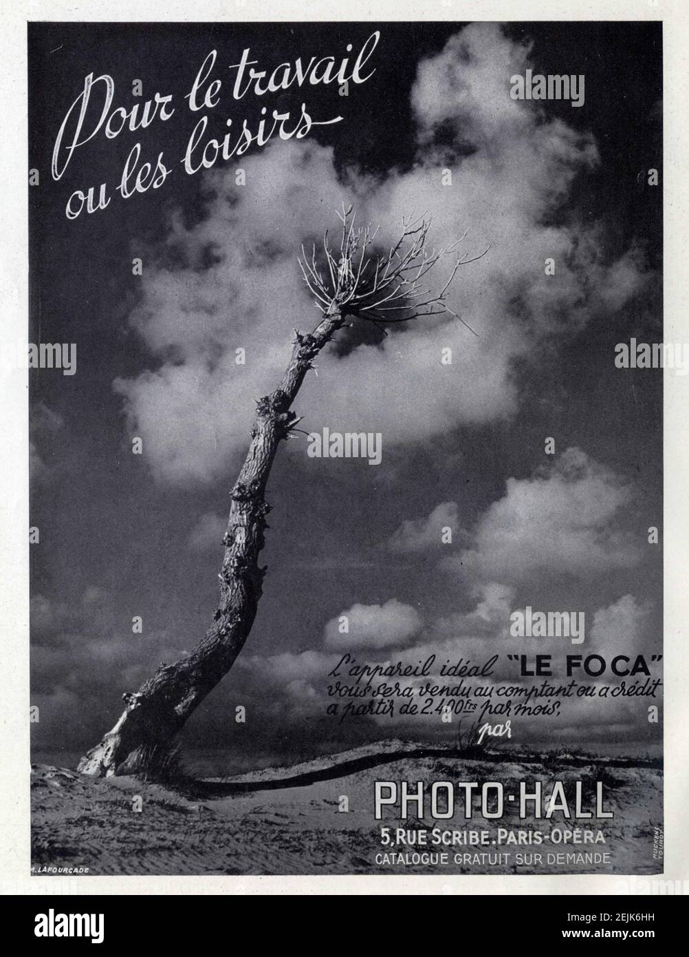 Publicité ancienne.l'appareil idéal LE FOCA.1950. Banque D'Images