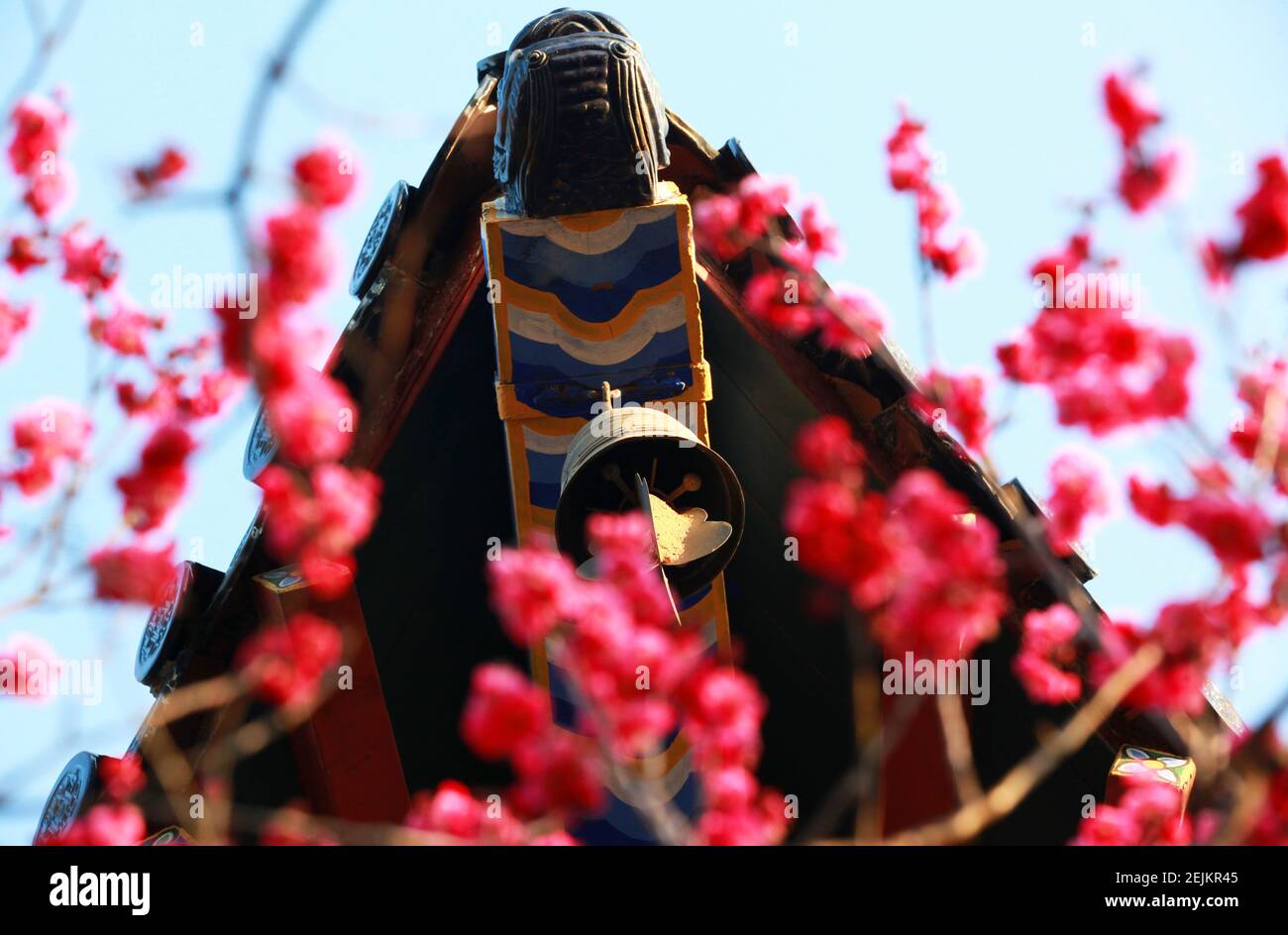 Meihua Banque De Photographies Et D Images A Haute Resolution Alamy