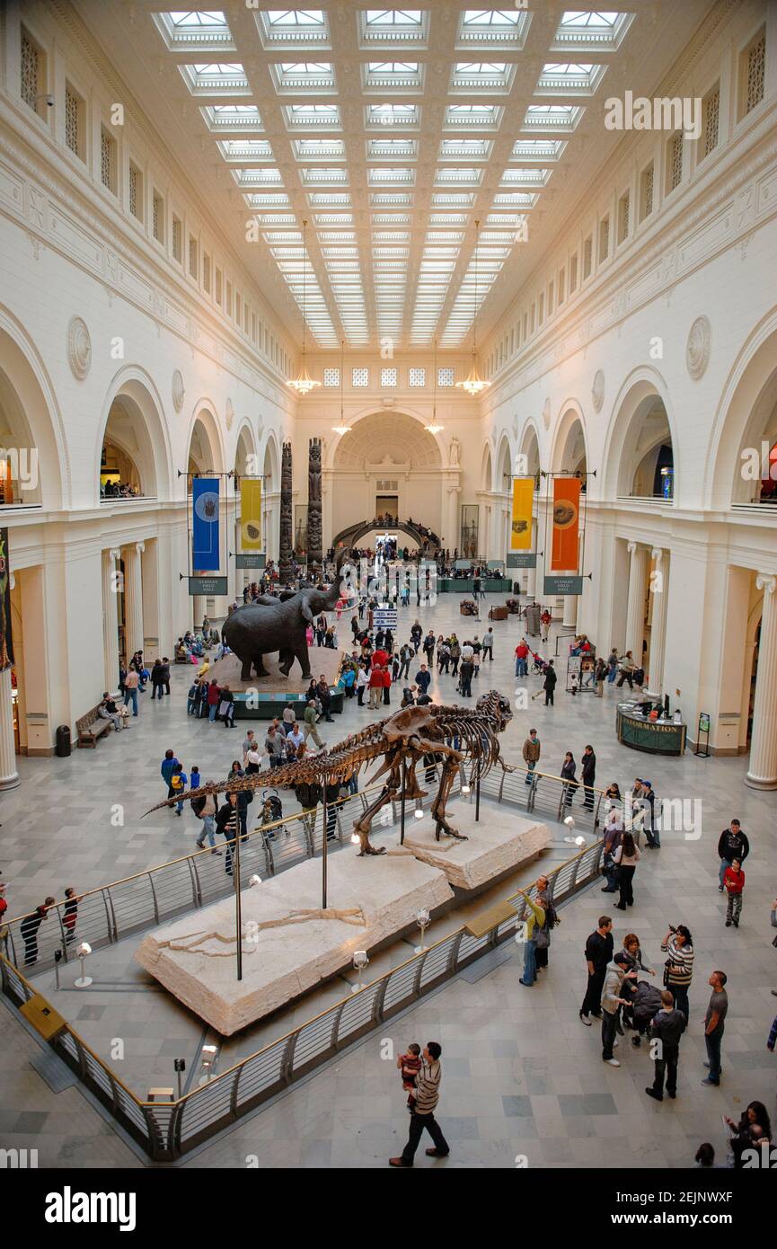 Visiteurs au Stanley Field Hall, Chicago Field Museum of Natural History, Chicago, Illinois, États-Unis Banque D'Images