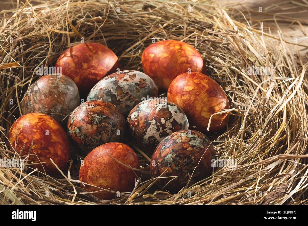 Composition de Pâques - marbre orange oeufs de Pâques peints avec des teintures naturelles dans un nid de foin. Banque D'Images