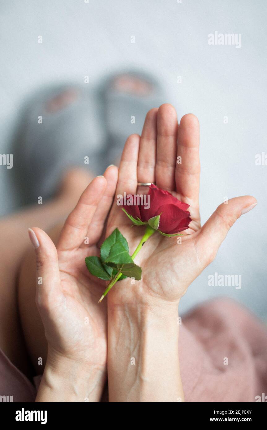 Rose dans les palmiers ouverts de la fille. Banque D'Images