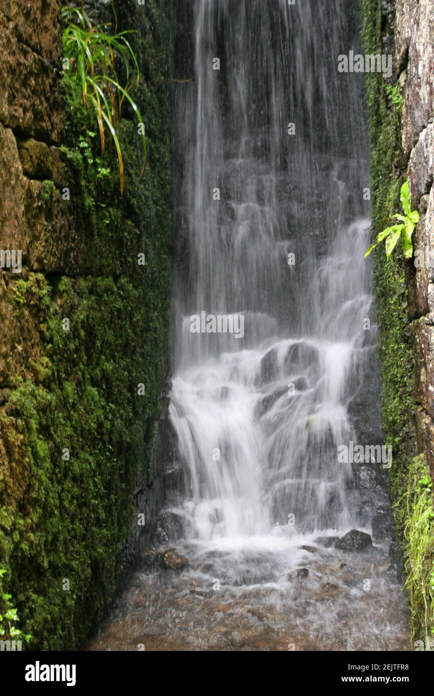 cascade de cascades parmi le feuillage Banque D'Images