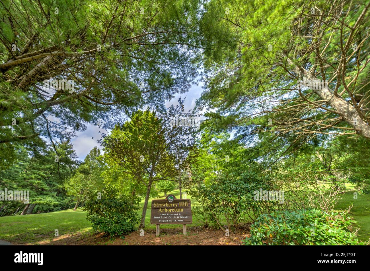 L'arboretum de Stawberry Hill à Boone, en Caroline du Nord. Banque D'Images