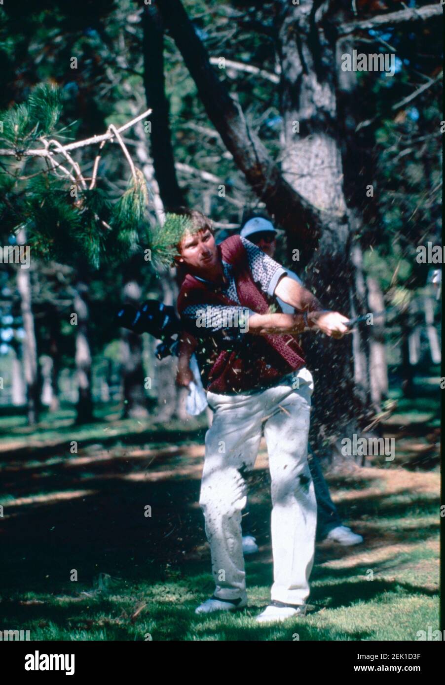 Jimmy Connors, joueur américain de tennis, 1995 Banque D'Images