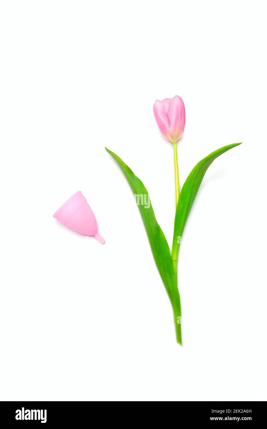 La coupe menstruelle et la fleur de tulipe se trouvent sur du blanc. Comparaison de la taille et de la forme. Beauté de la nature. Concept d'hygiène féminine, studio tourné avec espace de copie. Banque D'Images