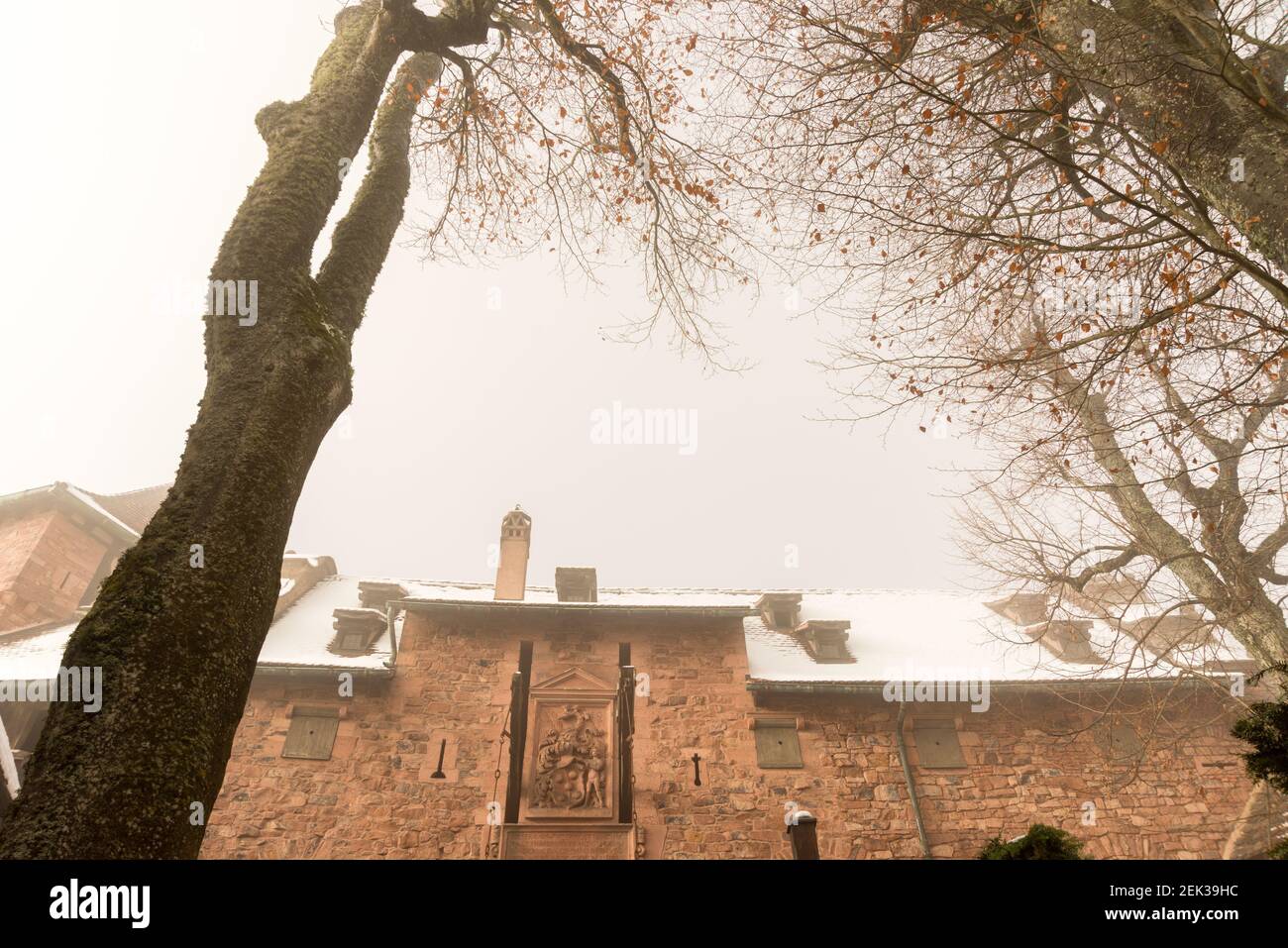 Enceinte du château du Haut-Koenigsbourg, dans la brume hivernale, Alsace, France Banque D'Images