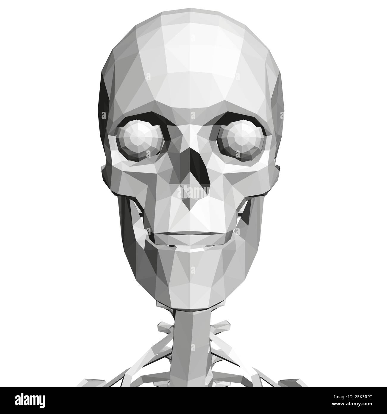 Crâne poly bas avec colonne vertébrale humaine. Vue avant. 3D. Illustration  vectorielle Image Vectorielle Stock - Alamy