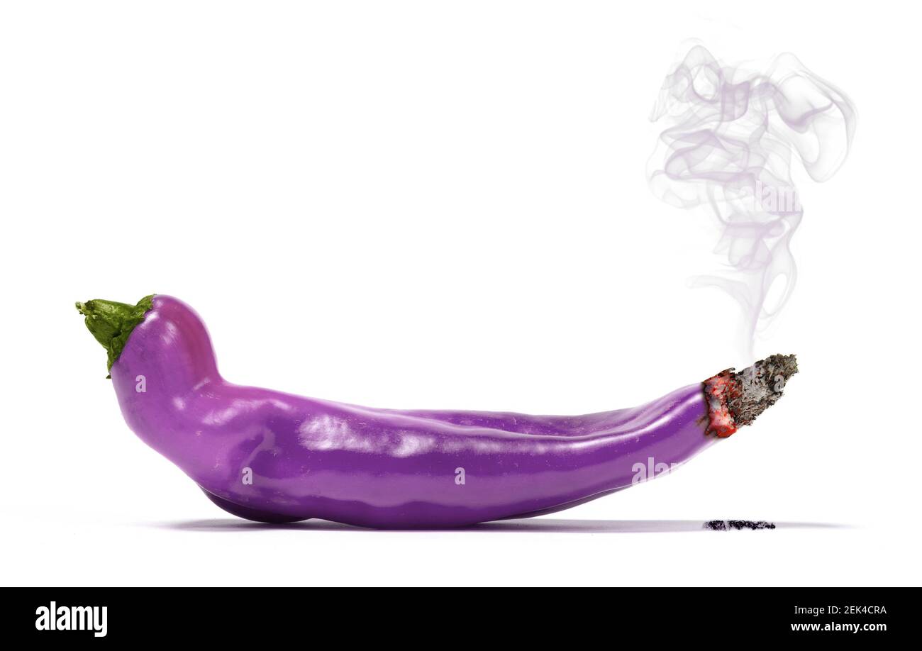 Poivre pourpre doux et pointu non naturel, fumant chaud ! - isolé sur blanc Banque D'Images
