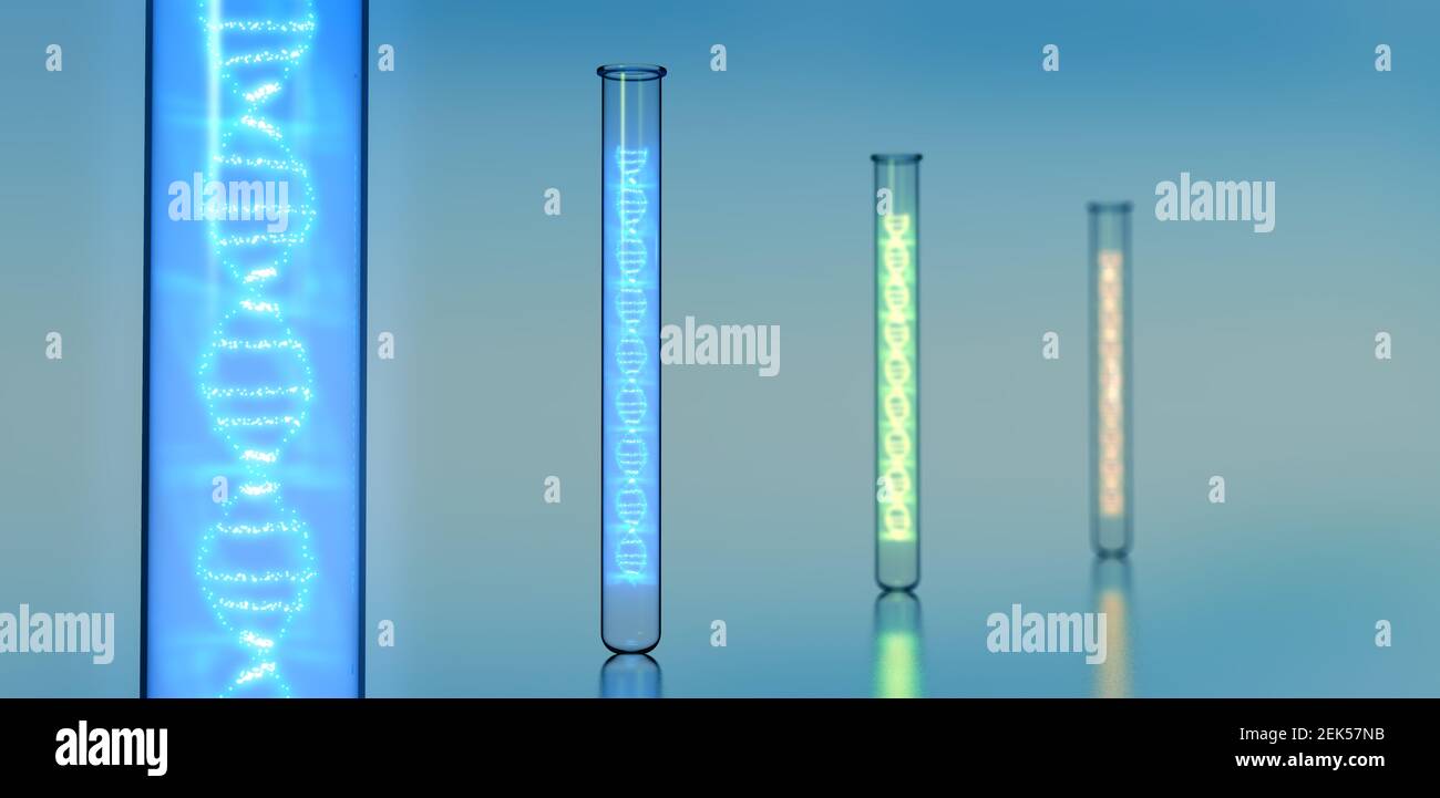 Différents tubes à essai remplis chacun d'un ADN de couleur différente hélice - illustration 3d Banque D'Images