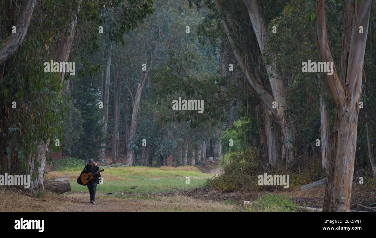 Figure solitaire d'un homme avec une guitare marchant à travers un tunnel d'arbres Banque D'Images