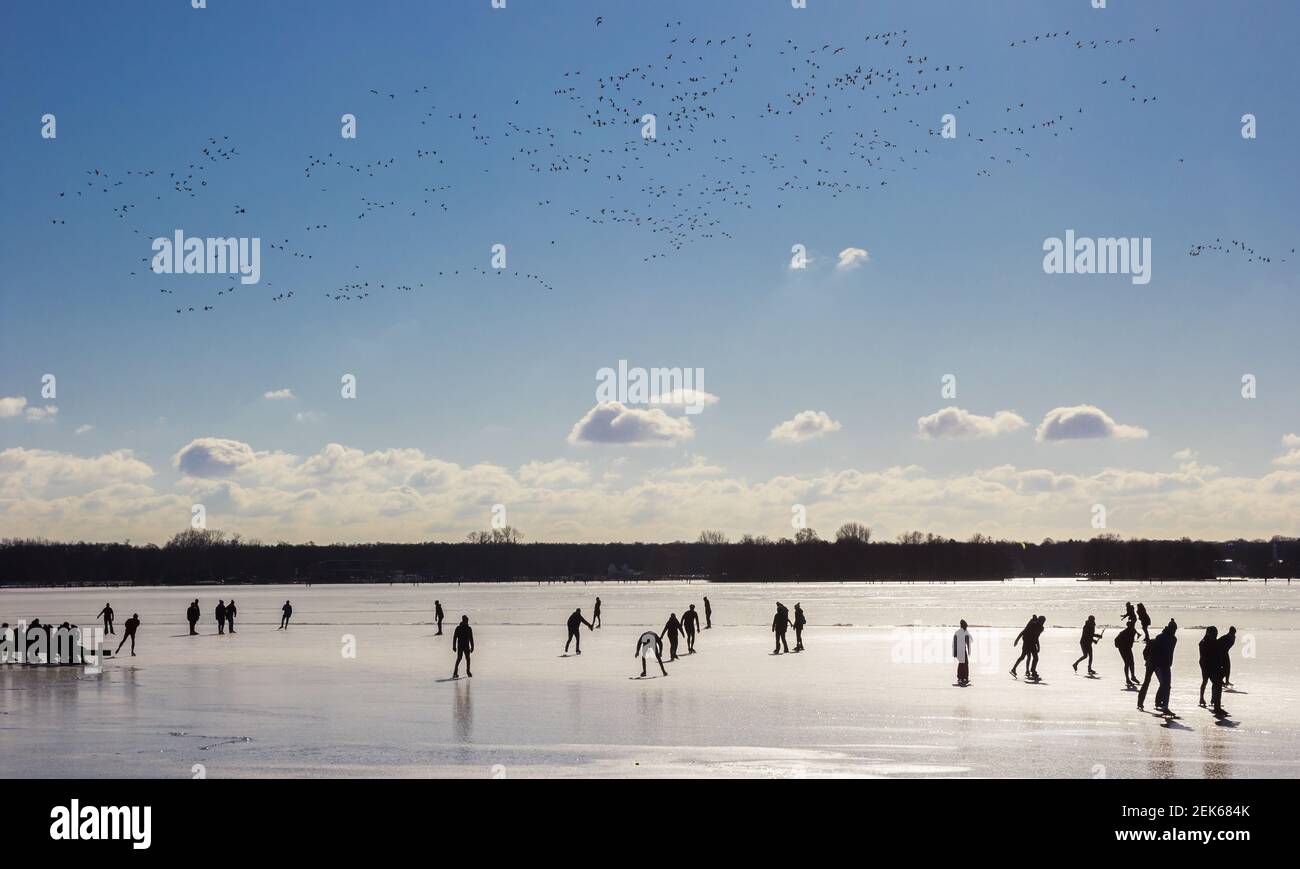 Troupeau d'oiseaux volant au-dessus du lac gelé à Groningen, pays-Bas Banque D'Images