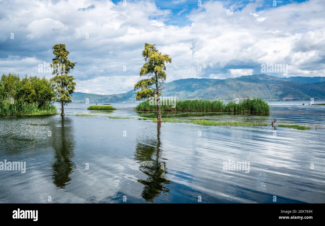 Vue panoramique sur le lac d'Erhai avec arbres au milieu de l'eau Dans Dali Yunnan Chine Banque D'Images