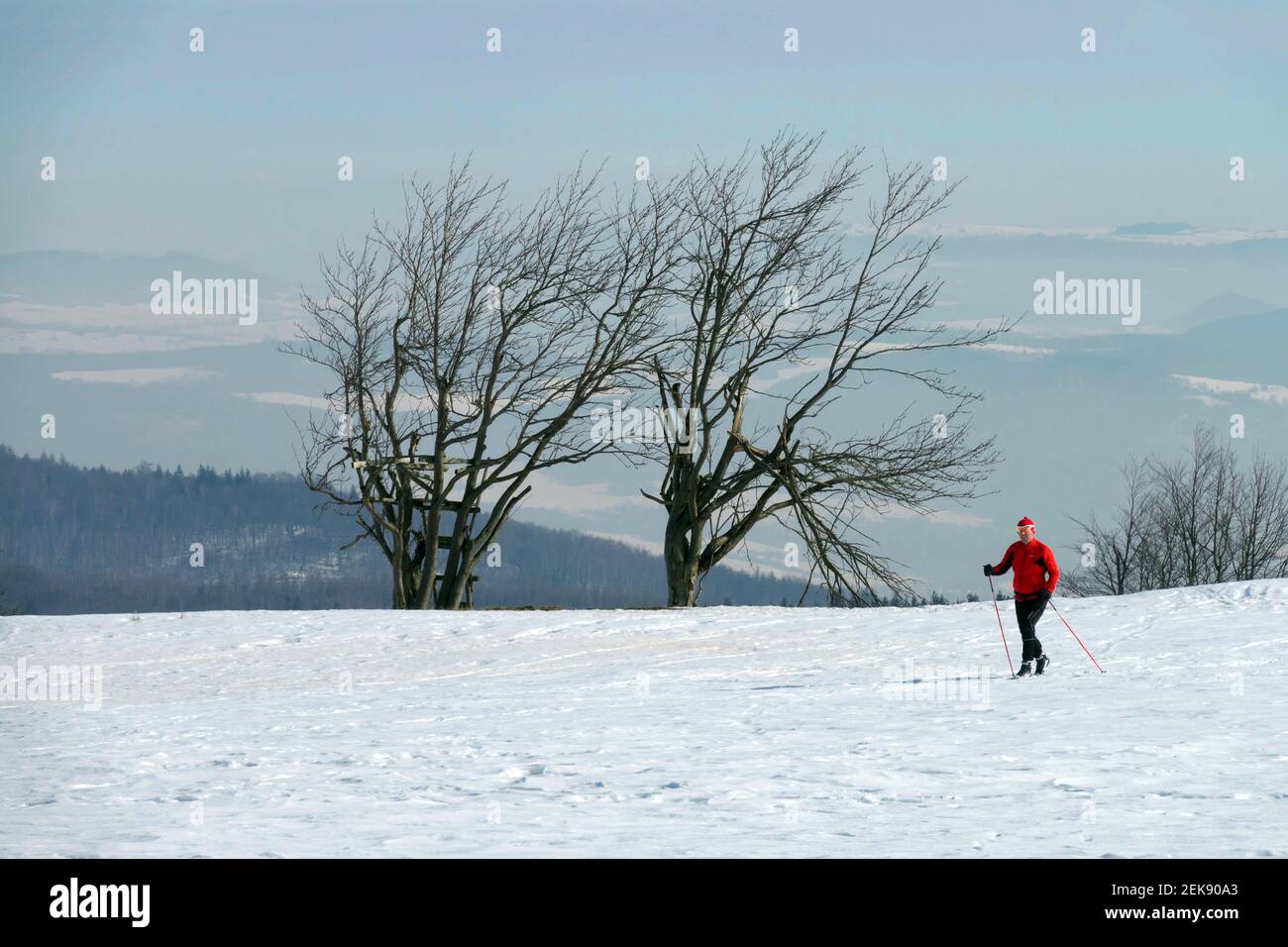 Scène de neige skieur rouge ski dans la campagne enneigée, scène d'hiver Banque D'Images