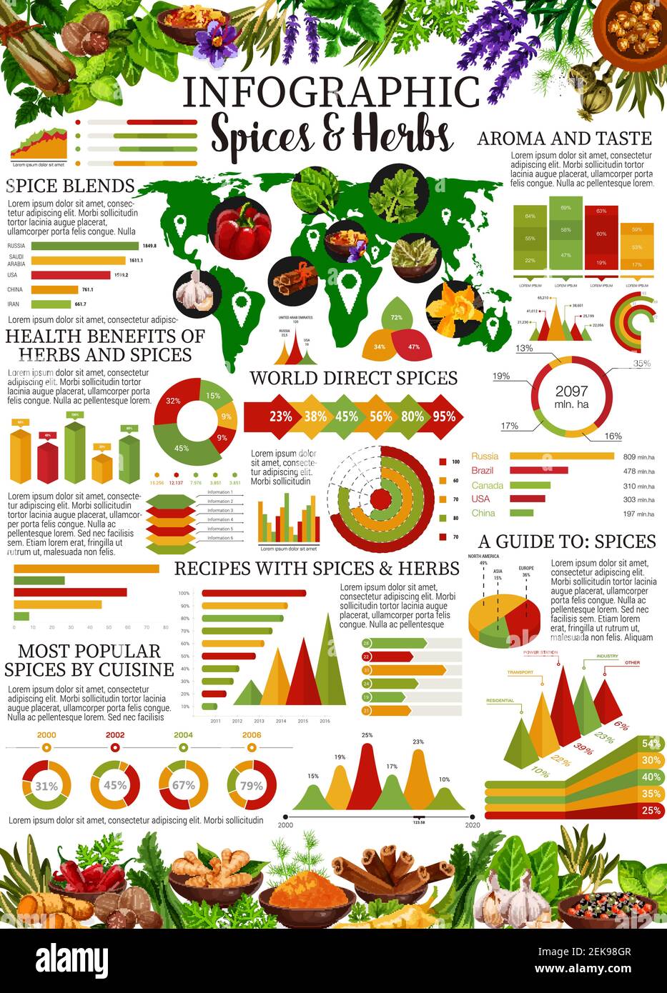 Infographie sur les épices et les herbes avec graphiques vectoriels et