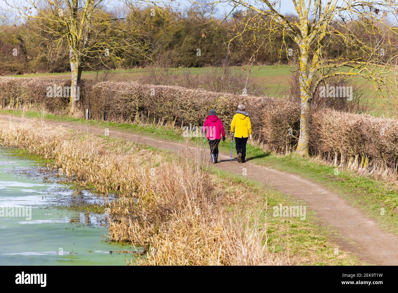 Deux femmes adultes plus âgées avec des bâtons de marche, faisant une promenade d'exercice le long d'un sentier de remorquage de canal pendant la pandémie Covid 19. Grantham, Lincolnshire, Angleterre Banque D'Images