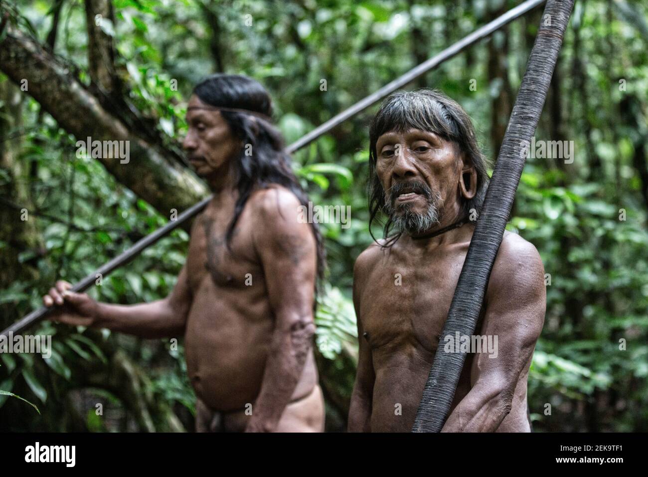 Gros plan de deux chasseurs-cueilleurs. AMAZON RAINFOREST, EQUATEUR : CE PHOTOGRAPHE AUDACIEUX a réussi à prendre des photos d'un t sud-américain inFAMOUS Banque D'Images