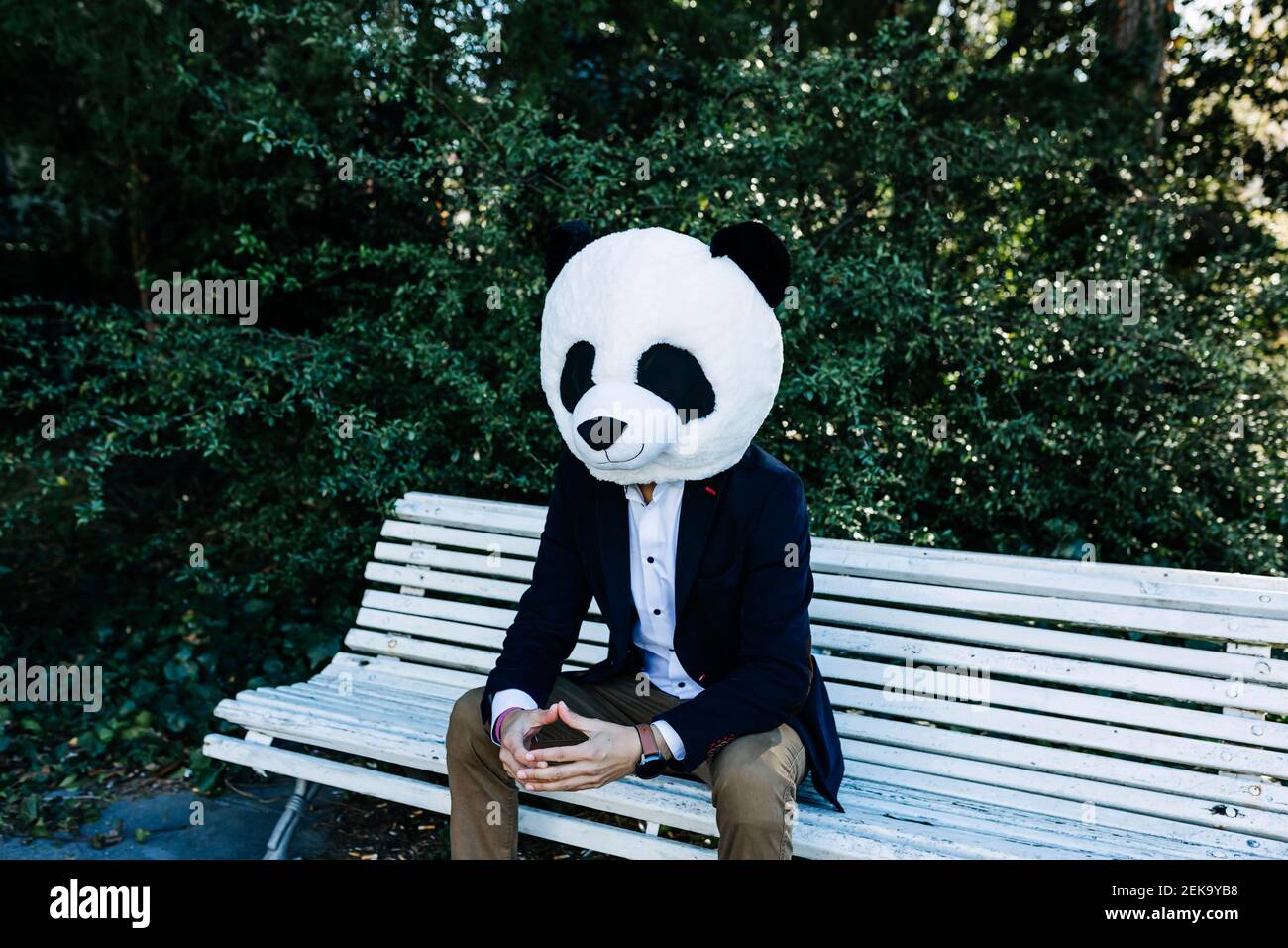 Homme d'affaires adulte de taille moyenne portant un masque de panda assis sur le banc parc public Banque D'Images