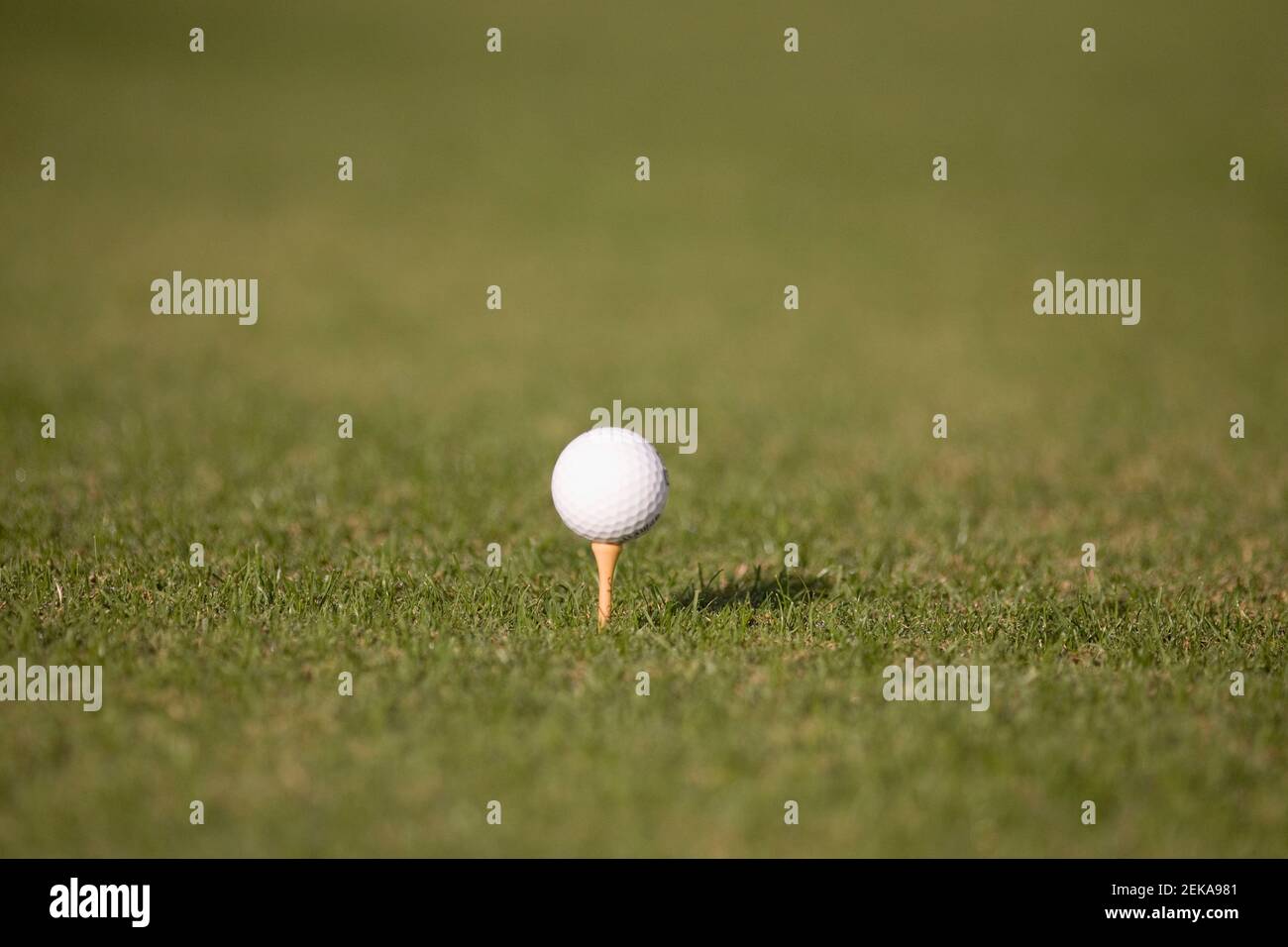 Ballon de golf sur le tee dans un parcours de golf Banque D'Images