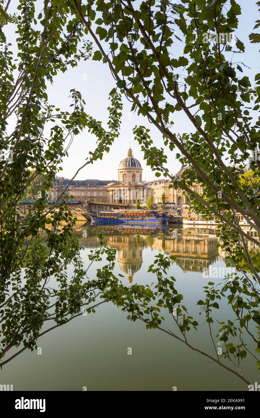 France, Ile-de-France, Paris, Institut de France réfléchissant sur la Seine avec des branches en premier plan Banque D'Images