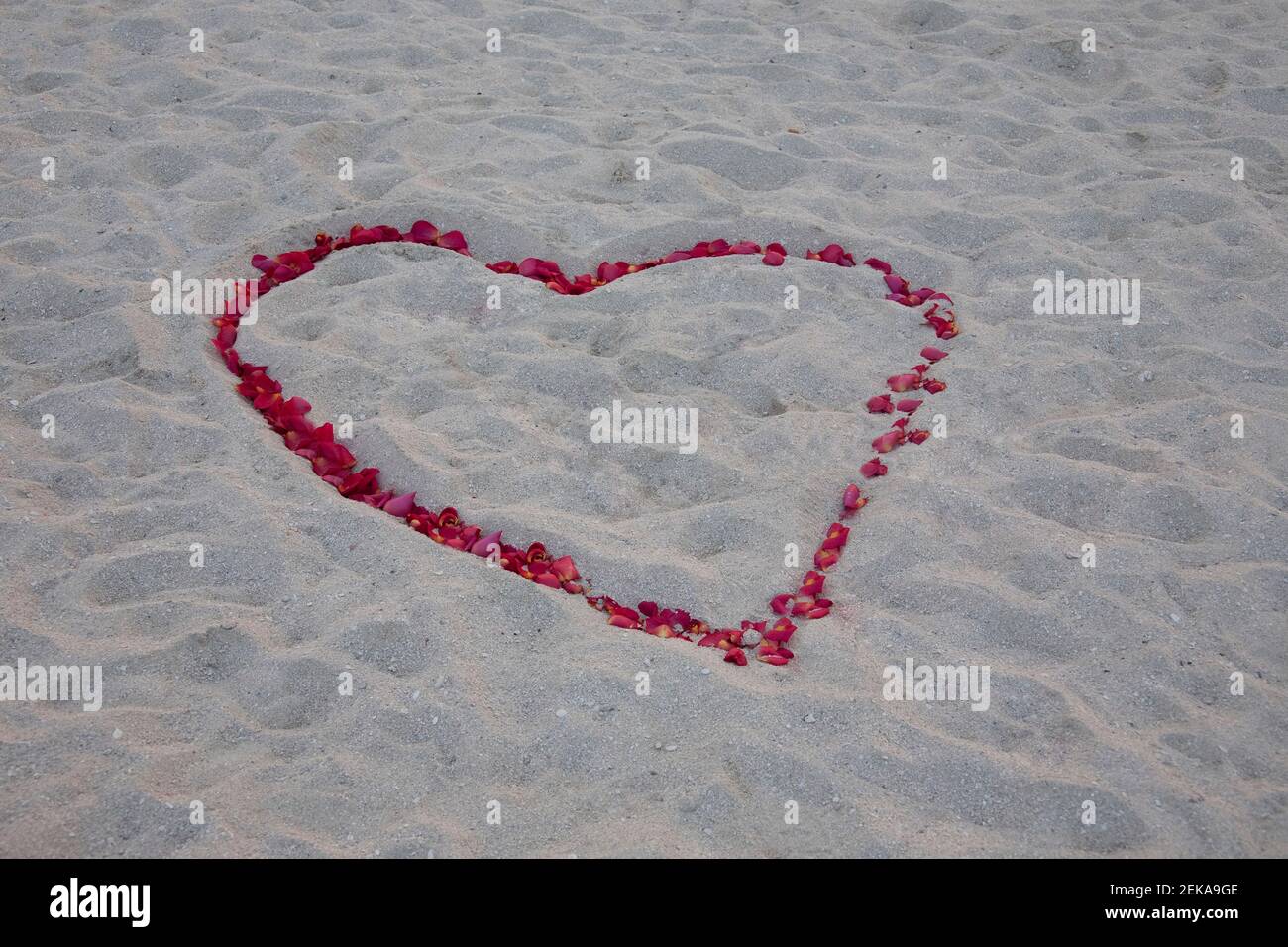 Forme de coeur faite de pétales de rose sur la plage, Miami Beach, Floride, États-Unis Banque D'Images