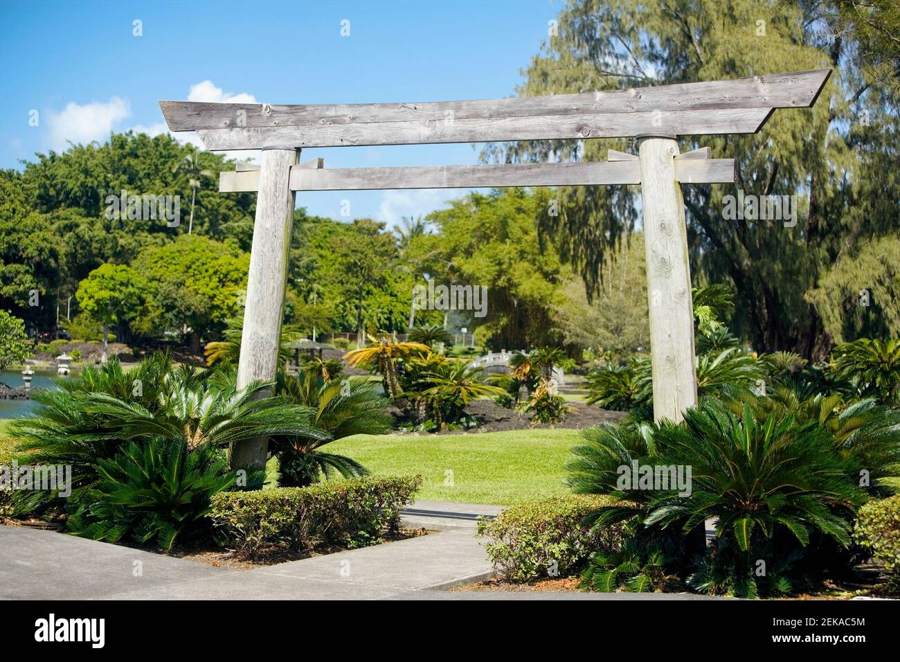 Porte torii dans un parc, parc et jardins de Liliuokalani, Banyan Drive, Hilo, Big Island, Hawaï, ÉTATS-UNIS Banque D'Images