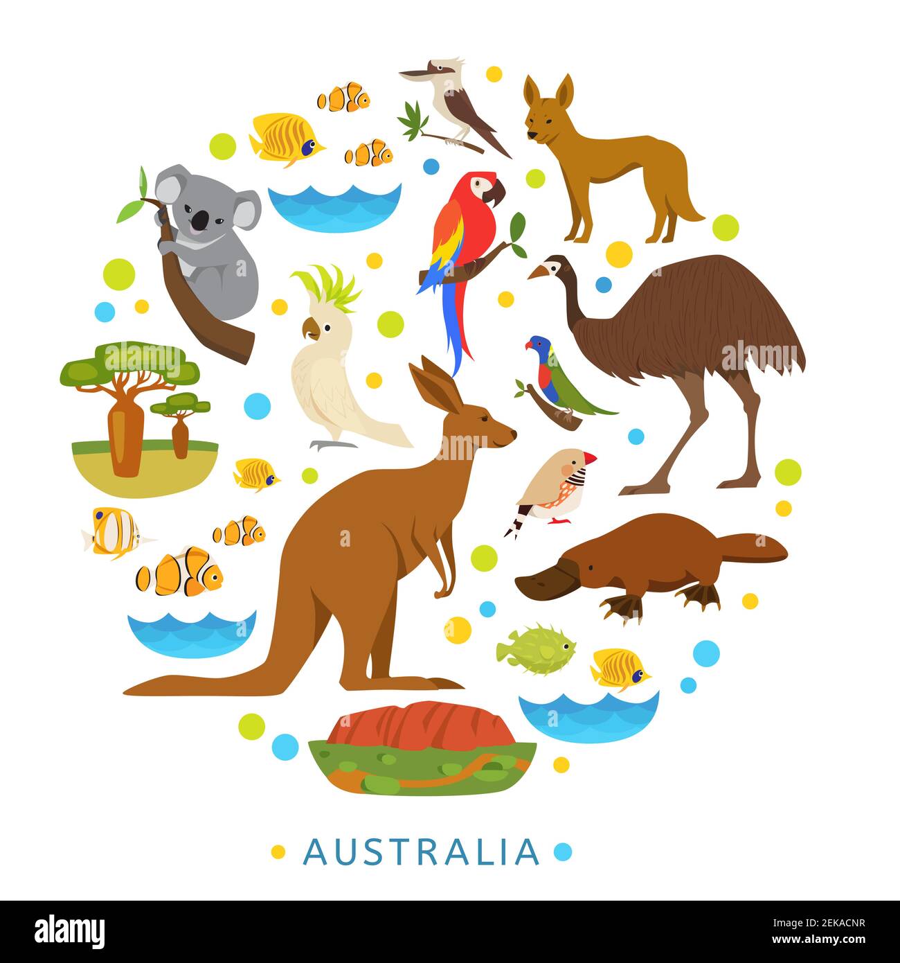 Oiseaux et animaux de l'Australie en forme de rond. Illustration de Vecteur