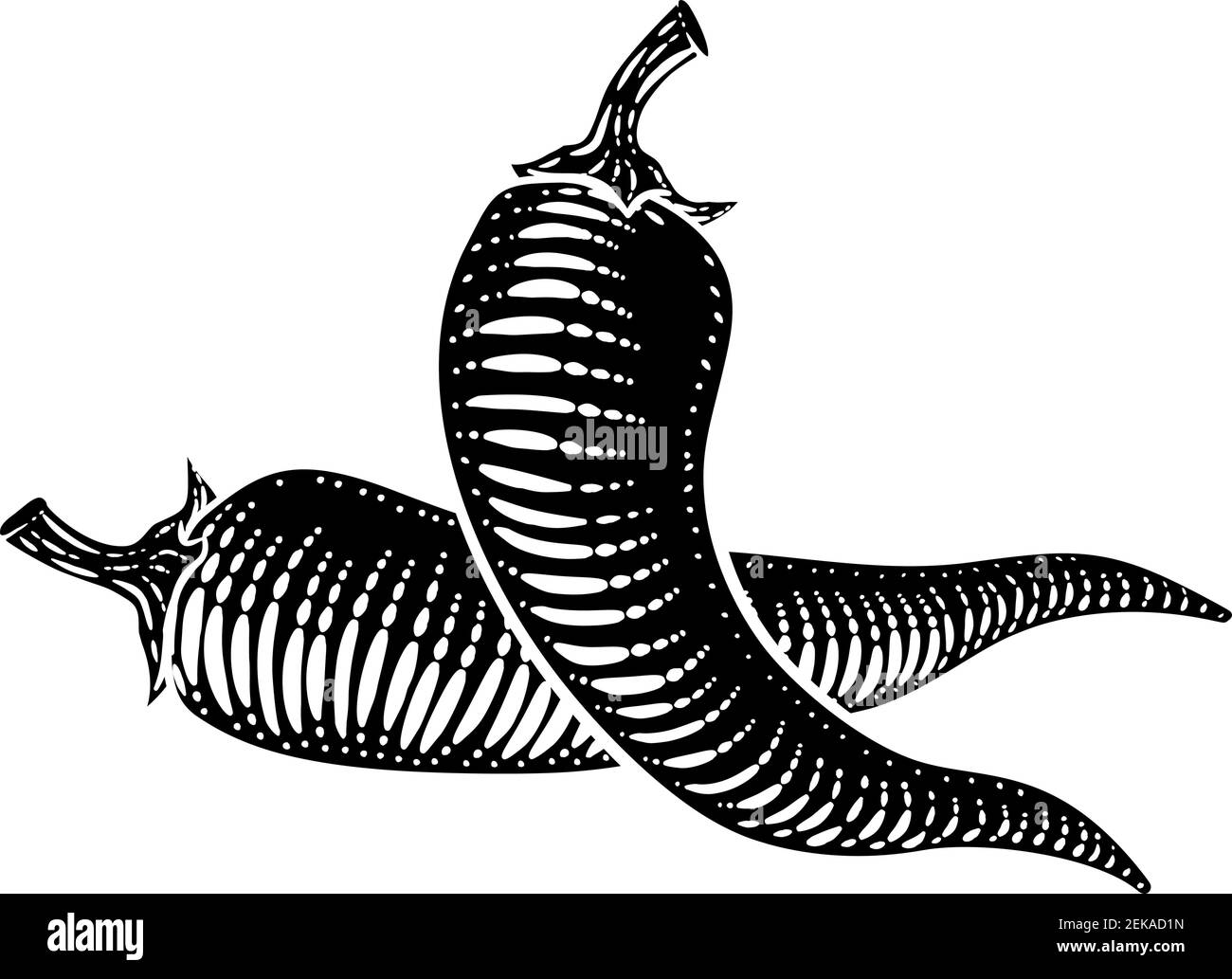 Illustration de la coupe de bois Vintage Pepper Vegetable Illustration de Vecteur