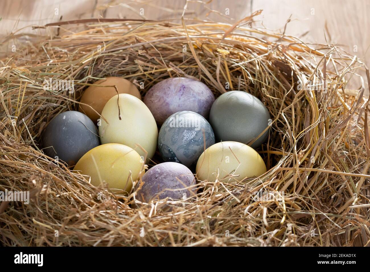 Composition de Pâques - oeufs de Pâques colorés peints avec des teintures naturelles dans un nid de foin. Banque D'Images