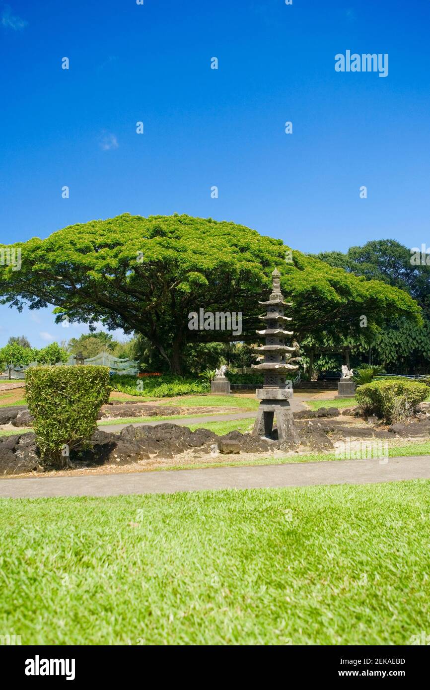 Structure en bord de route, parc et jardins de Liliuokalani, Banyan Drive, Hilo, Big Island, Hawaï, ÉTATS-UNIS Banque D'Images