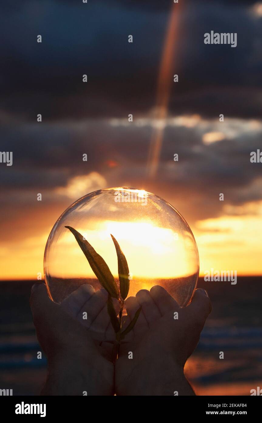 Les mains de PersonÅths tenant un sipling à l'intérieur d'une boule de cristal au coucher du soleil, Miami Beach, Floride, États-Unis Banque D'Images