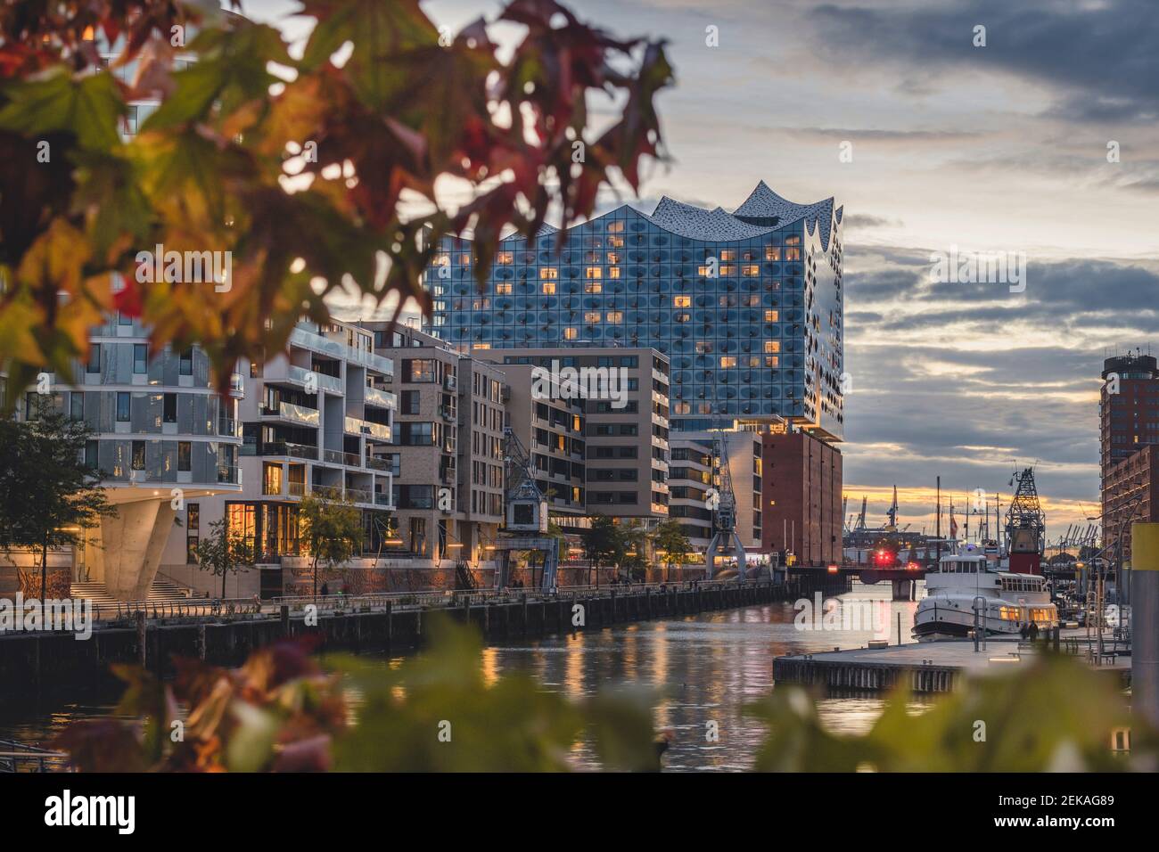 Allemagne, Hambourg, HafenCity avec Sandtorhafen et Elbphilharmonie en automne Banque D'Images
