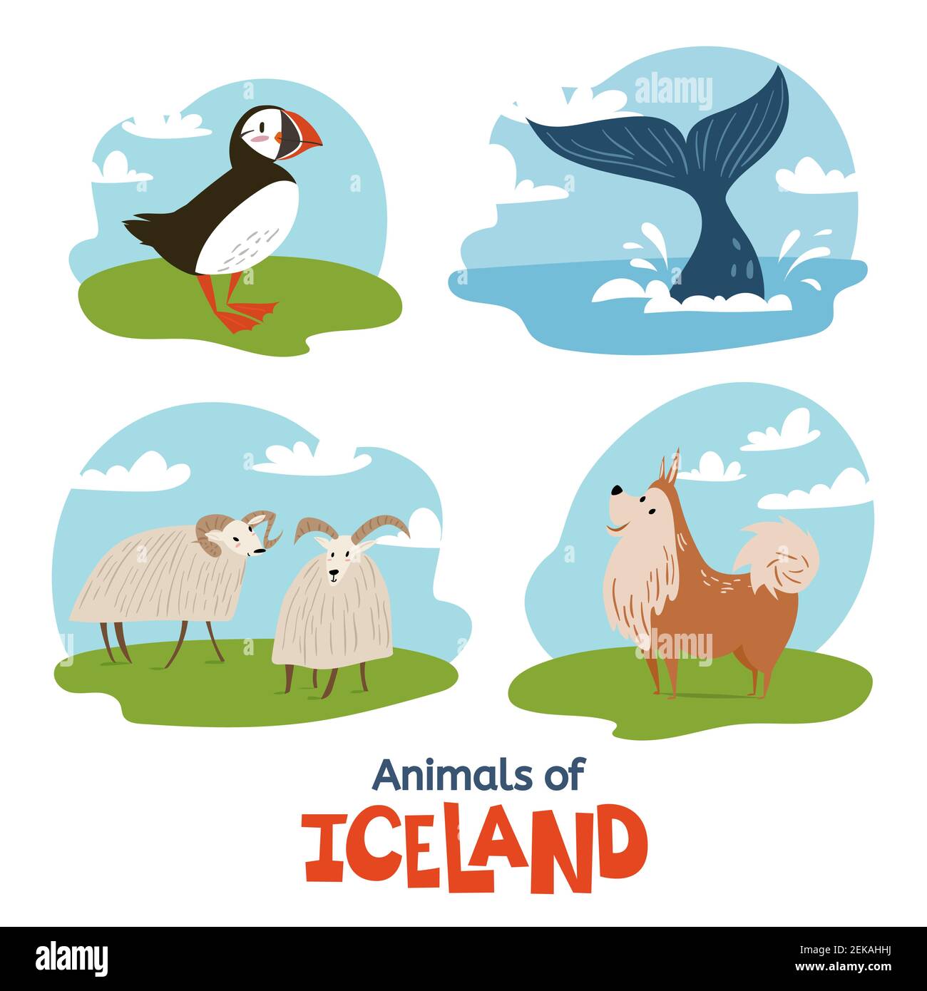 Animaux d'Islande dans un style moderne et plat Illustration de Vecteur