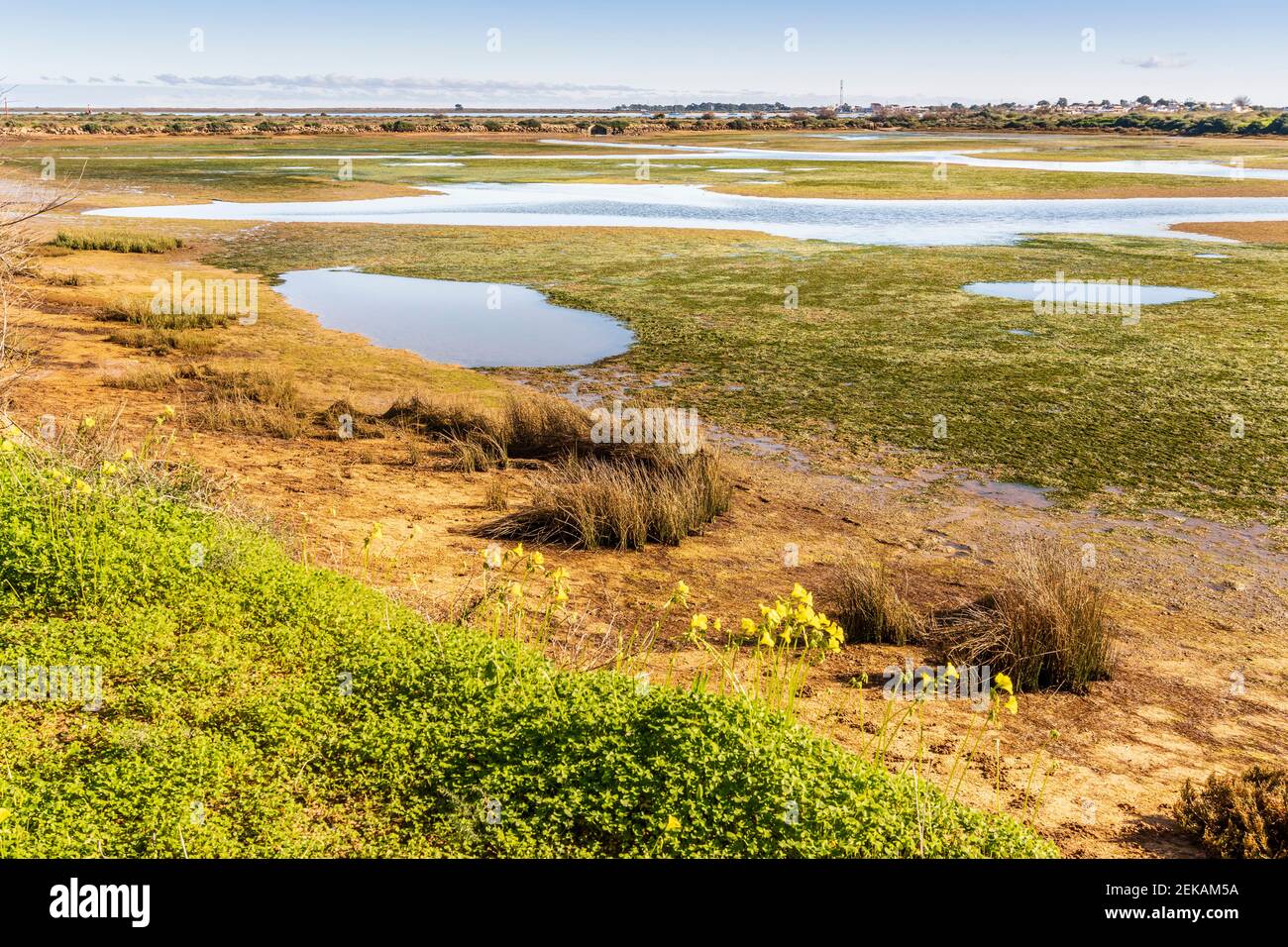 Magnifique paysage du parc naturel de Ria Formosa, Olhao, Algarve, Portugal Banque D'Images