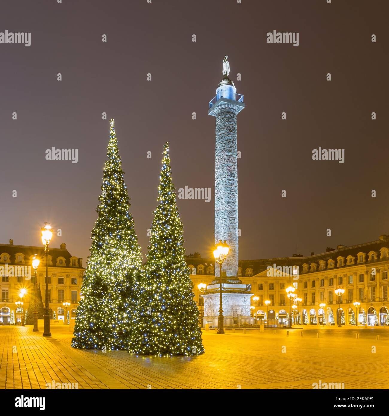 France, Ile-de-France, Paris, arbres de Noël à la place Vendôme illuminée pendant la nuit Banque D'Images
