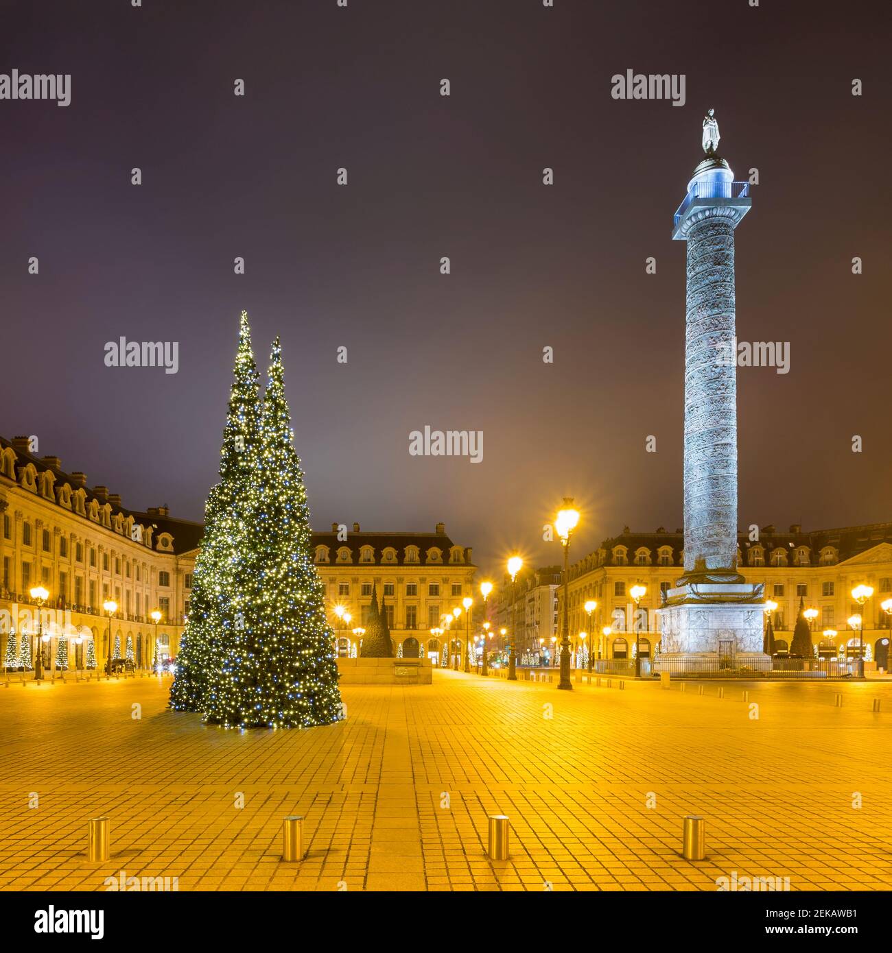 France, Ile-de-France, Paris, arbres de Noël à la place Vendôme illuminée pendant la nuit Banque D'Images