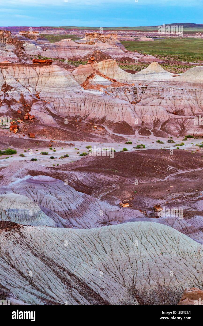 Formation de roches au parc national de Petrified Forest, Arizona, États-Unis Banque D'Images