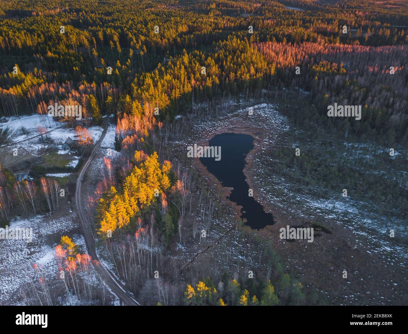 Un drone aérien survole les forêts de printemps dans la soirée dorée léger Banque D'Images