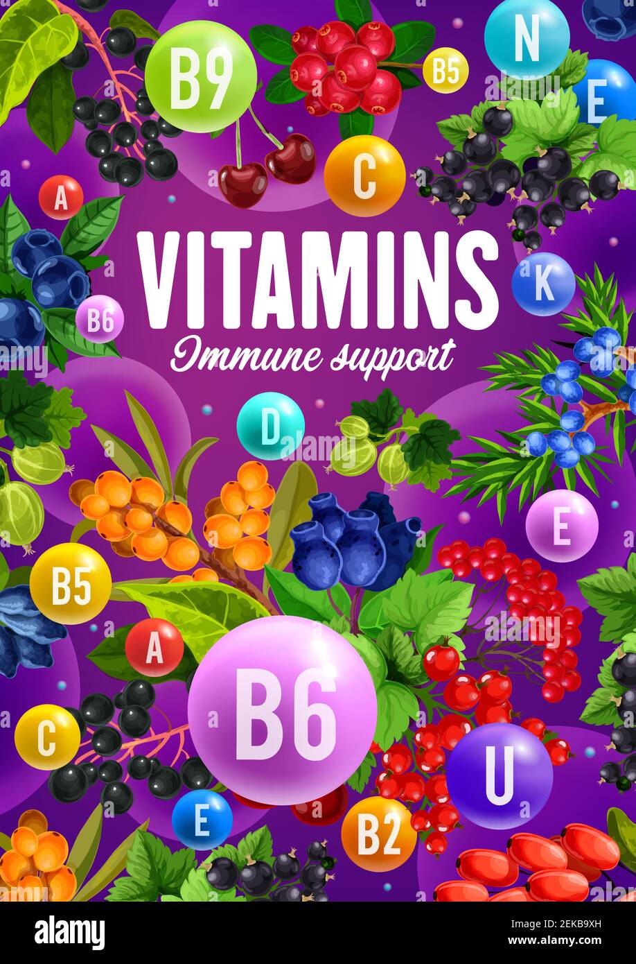 Baies et fruits avec des vitamines de soutien immunitaire affiche de la nutrition végétarienne saine conception de vecteur. Cerise, canneberge et myrtille, cassis, h Illustration de Vecteur