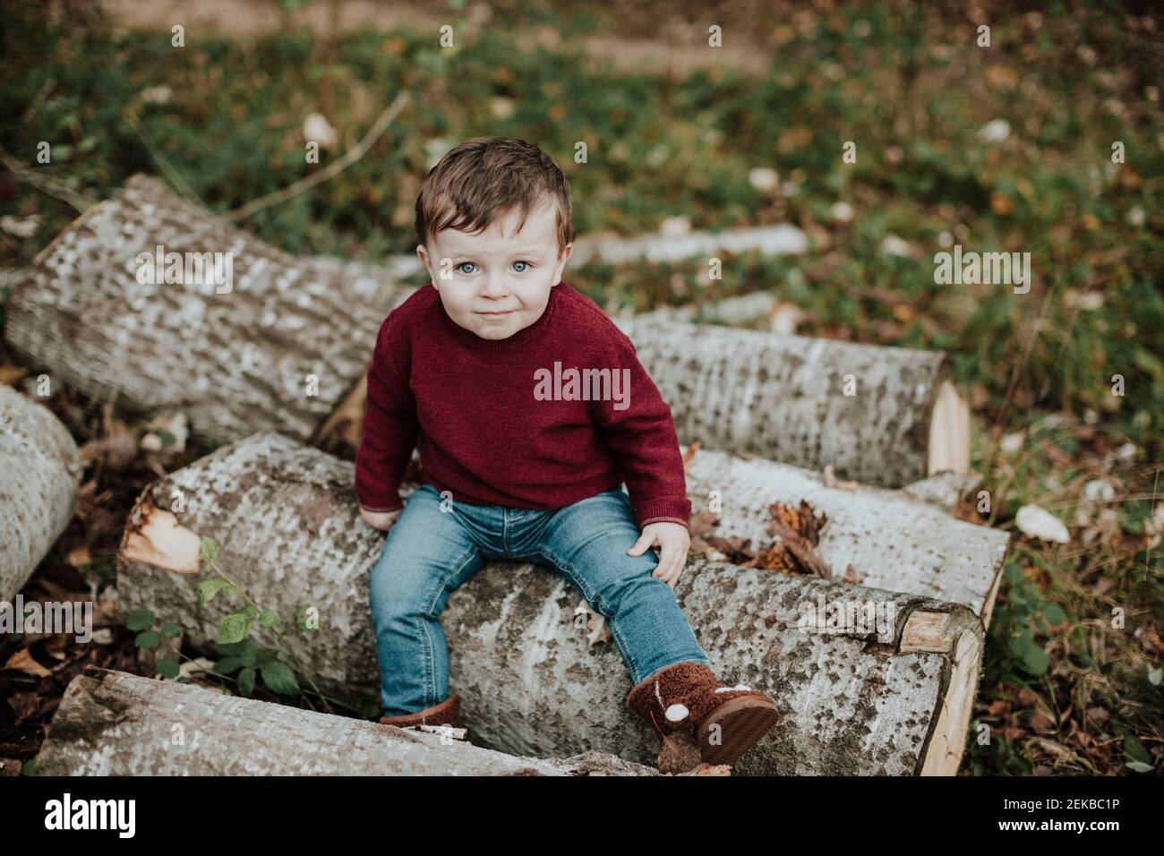 Tout-petit gai assis au milieu de feuilles d'automne sèches tout en regardant loin dans la forêt Banque D'Images