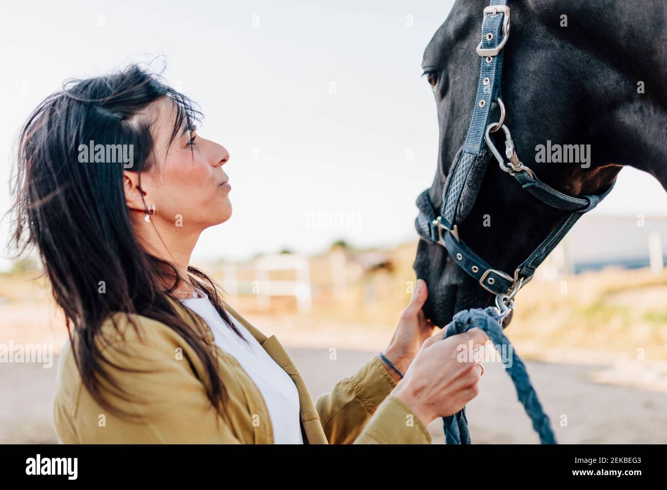Femme adulte de taille moyenne regardant un cheval Banque D'Images