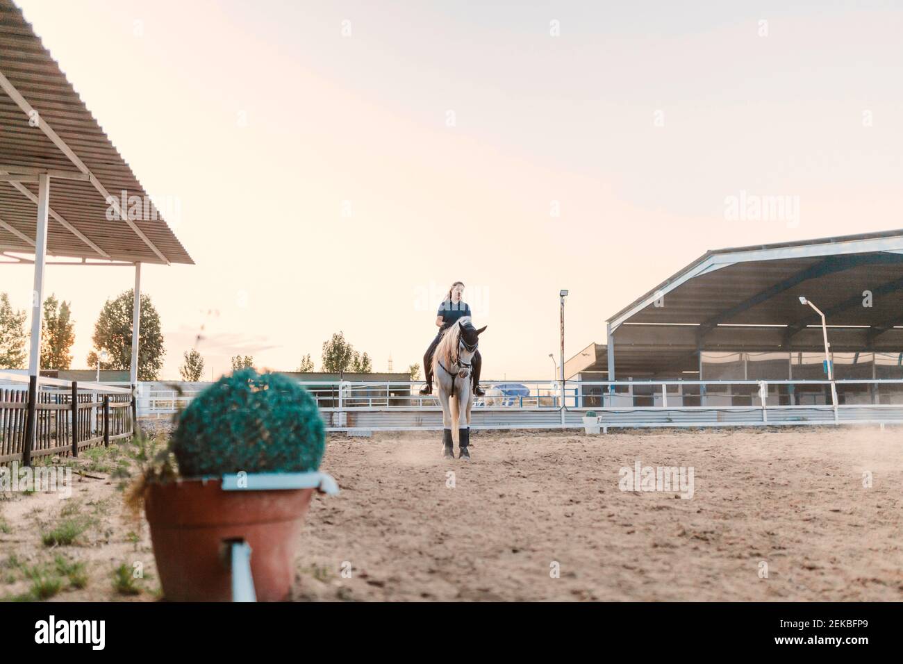 Jeune femme à cheval contre ciel clair dans la ferme Banque D'Images