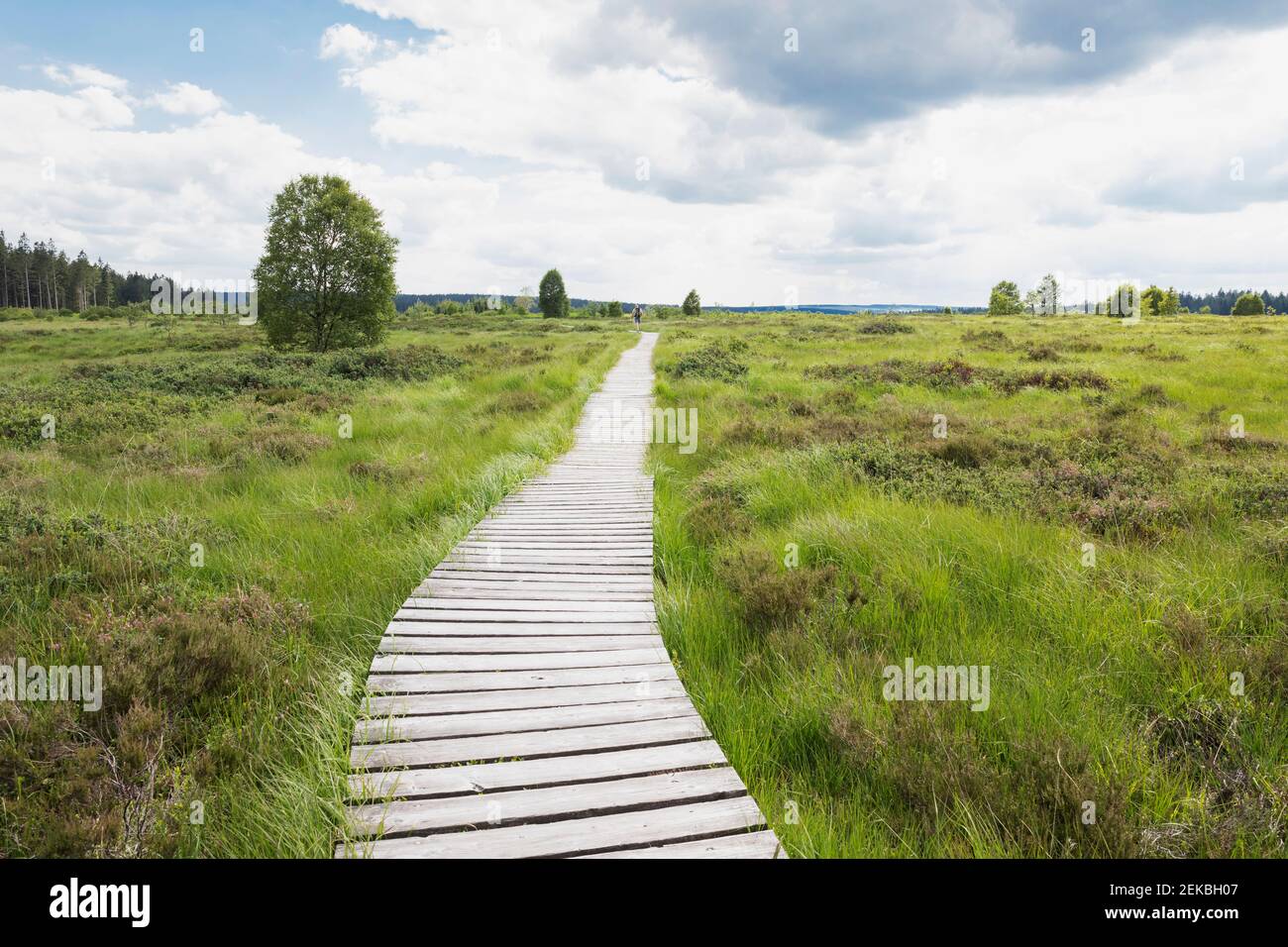 Homme marchant sur la promenade contre le ciel dans High Fens nature Stationnement Banque D'Images