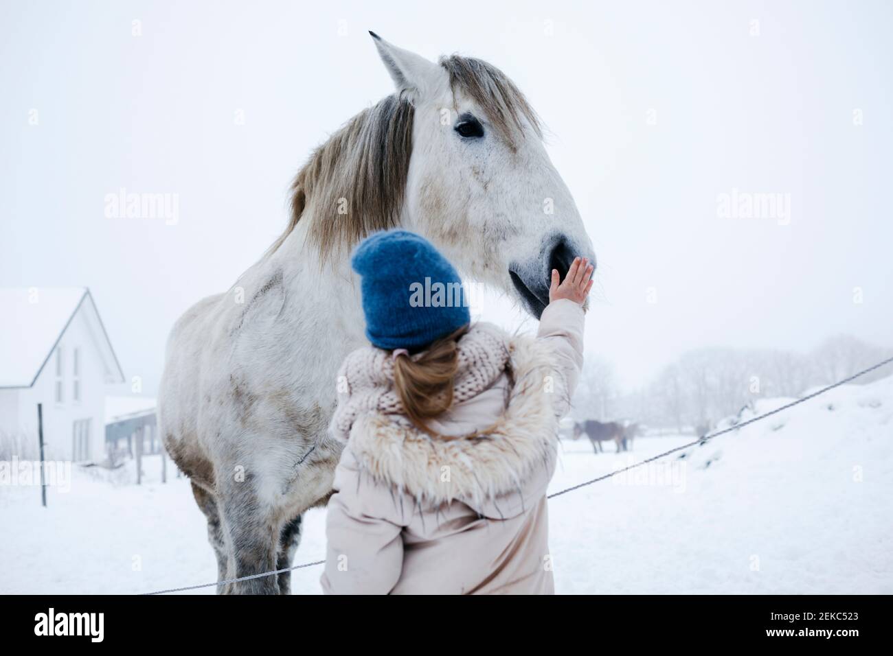 Fille dans des vêtements chauds de course de cheval sur la neige pendant l'hiver Banque D'Images