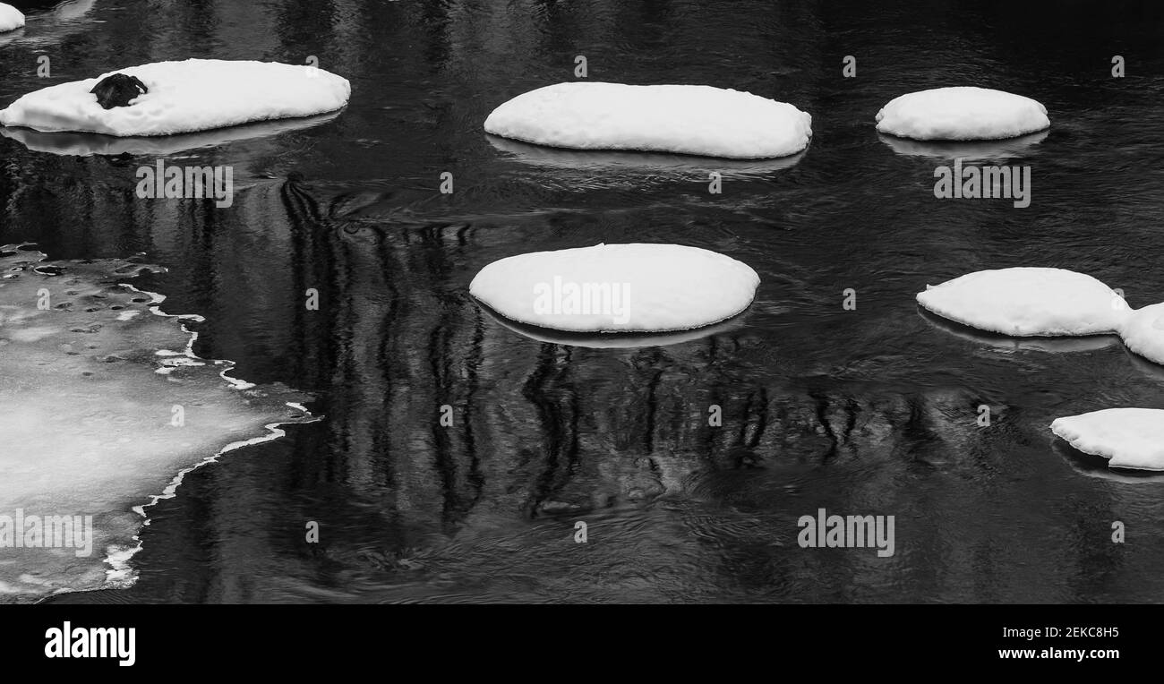 La rivière au printemps avec des formations de neige rondes sur le rochers dans l'eau sombre Banque D'Images