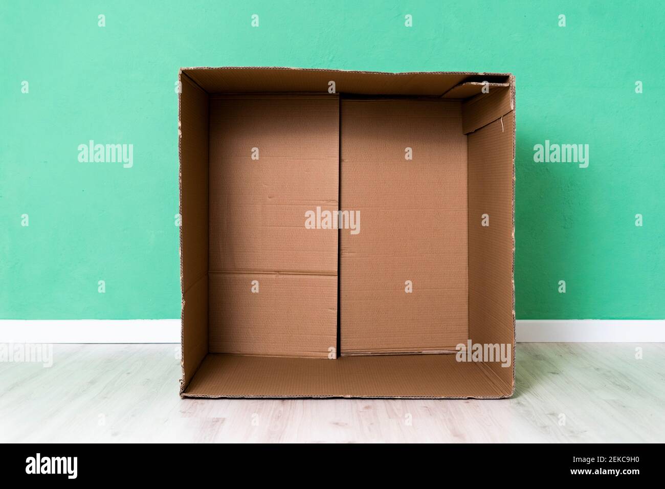 Vider la boîte en carton contre le mur vert de l'appartement Banque D'Images