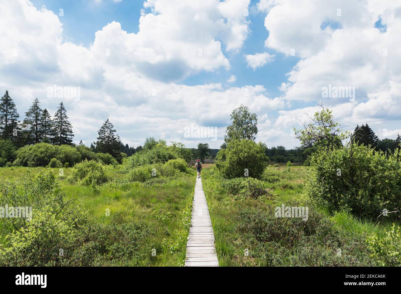 Homme marchant sur la promenade dans le parc naturel de High Fens contre ciel nuageux Banque D'Images